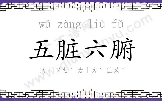五脏六腑