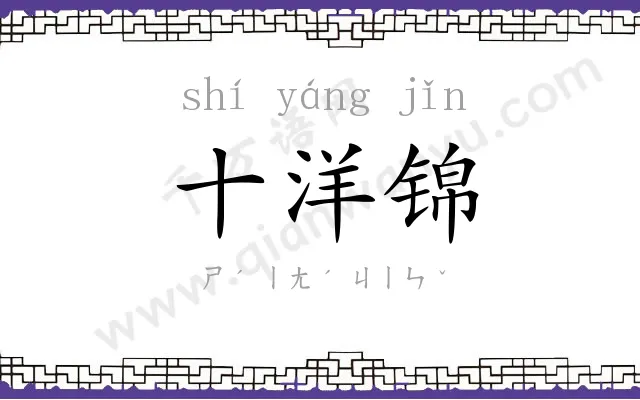 十洋锦