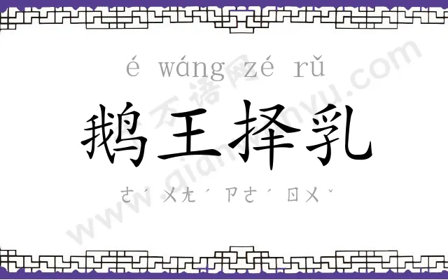 鹅王择乳