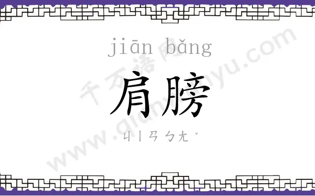 肩膀
