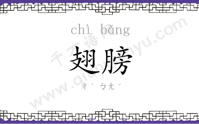 翅膀