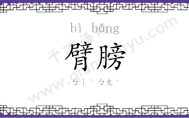 臂膀