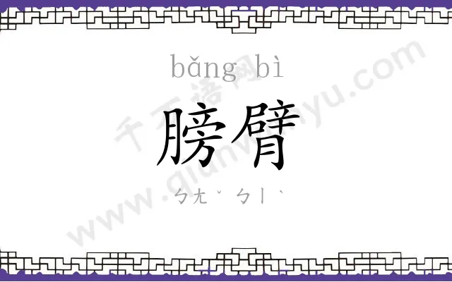 膀臂