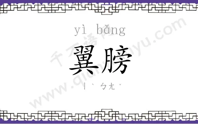 翼膀