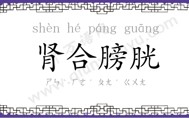 肾合膀胱