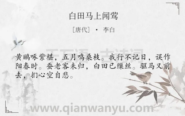 《白田马上闻莺》作者是唐代的李白.本诗词属于夏天;写景;怀才不遇;羁旅类诗词.诗词全文约共48字.