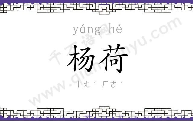 杨荷