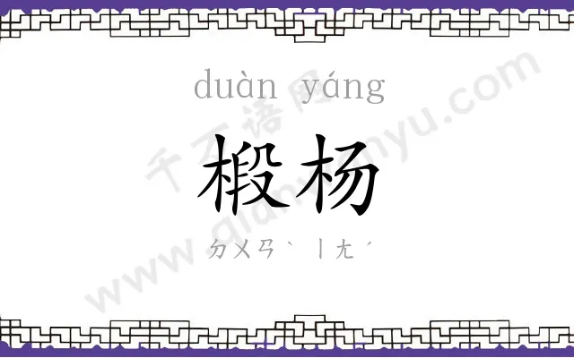 椴杨