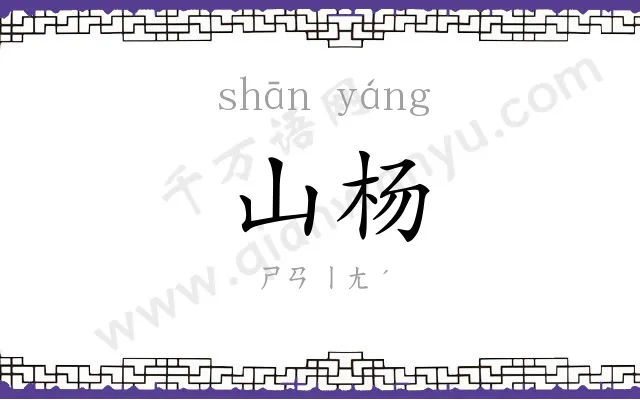 山杨
