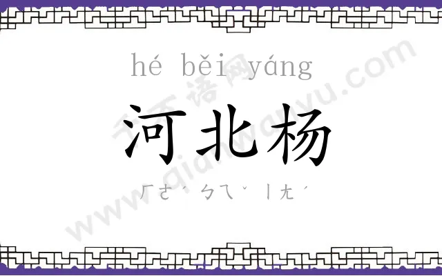 河北杨