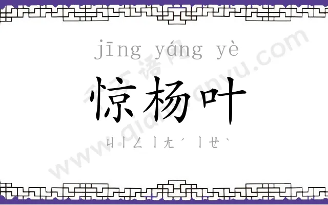 惊杨叶