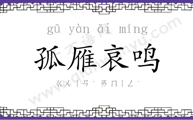 孤雁哀鸣
