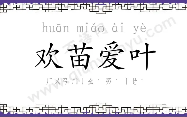 欢苗爱叶