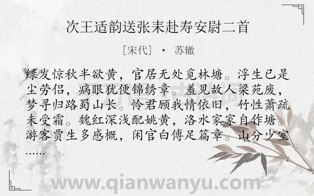 《次王适韵送张耒赴寿安尉二首》作者是宋代的苏辙.诗词全文约共128字.