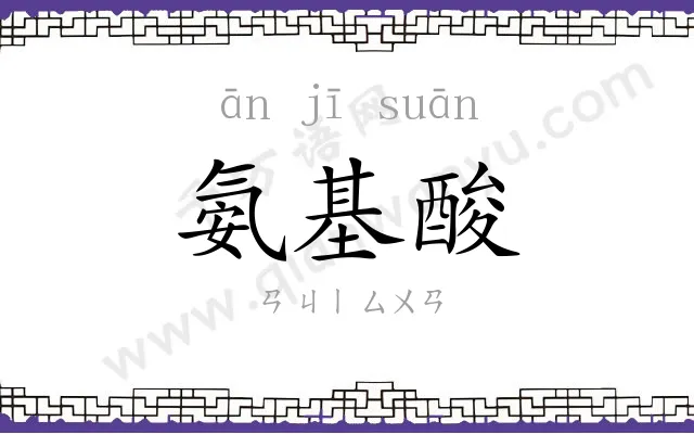 氨基酸