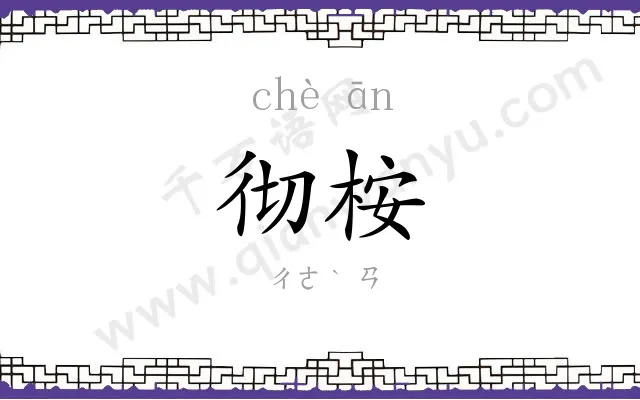 彻桉