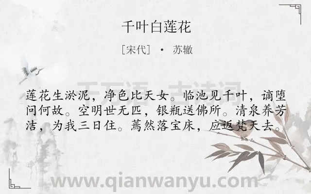《千叶白莲花》作者是宋代的苏辙.诗词全文约共60字.