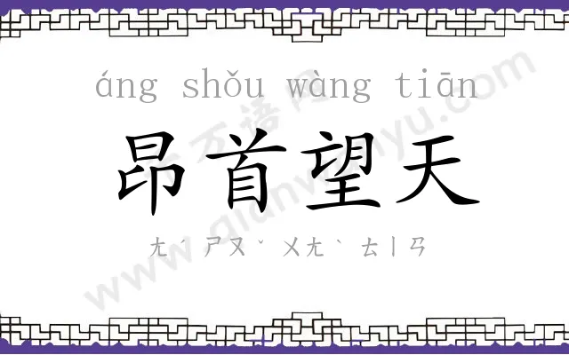 昂首望天