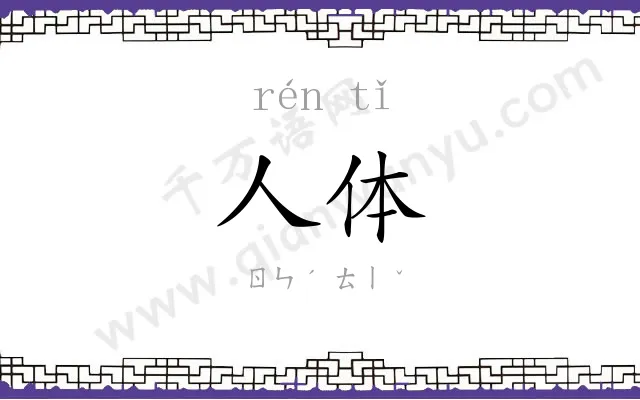 人体