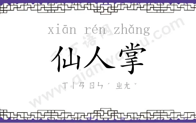 仙人掌