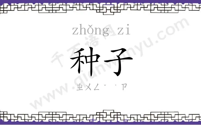 种子
