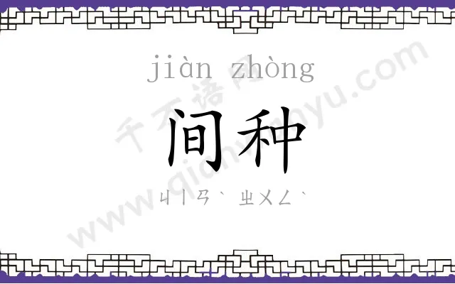 间种