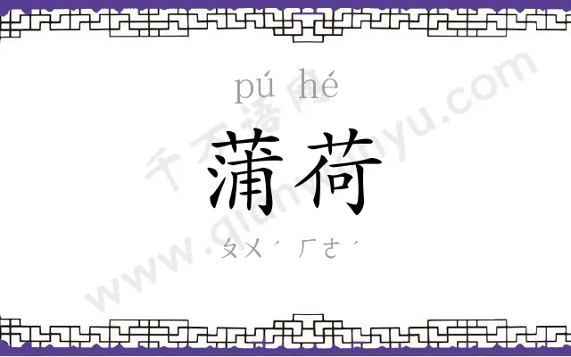 蒲荷