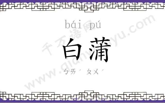 白蒲