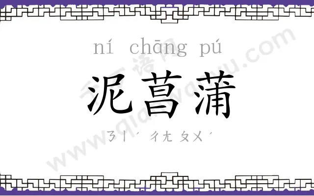 泥菖蒲