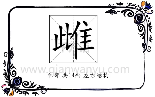 雌