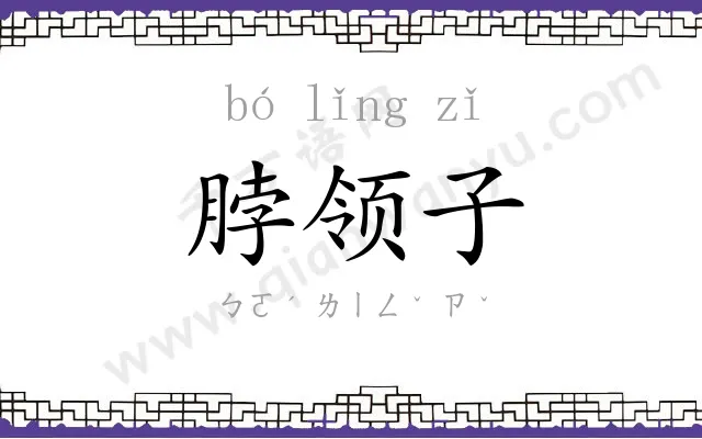 脖领子