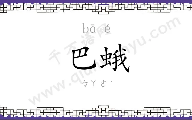 巴蛾