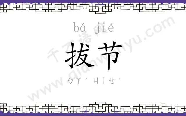 拔节