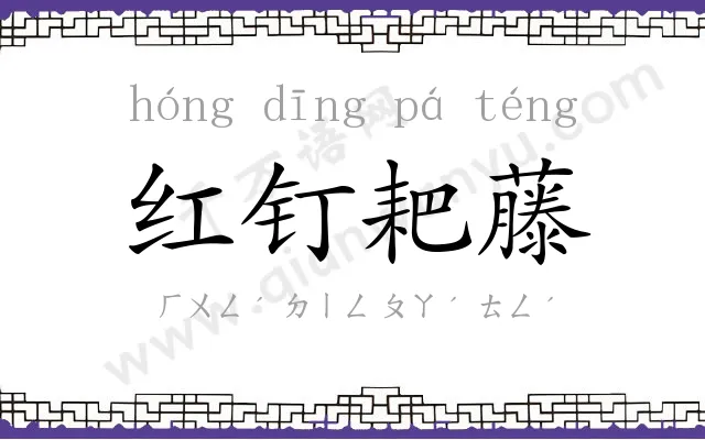 红钉耙藤