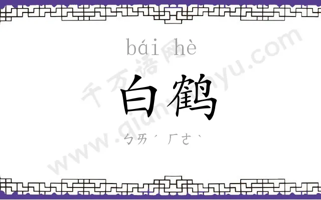 白鹤