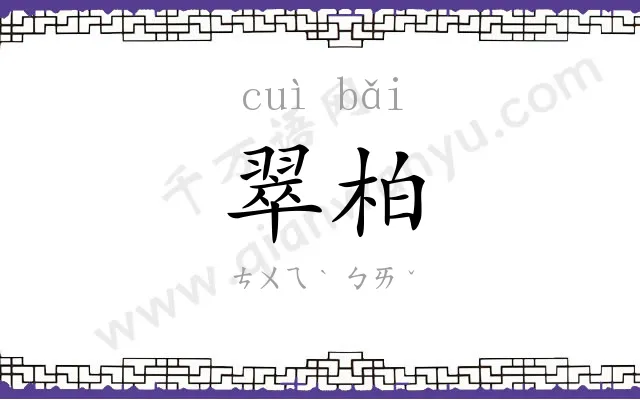 翠柏