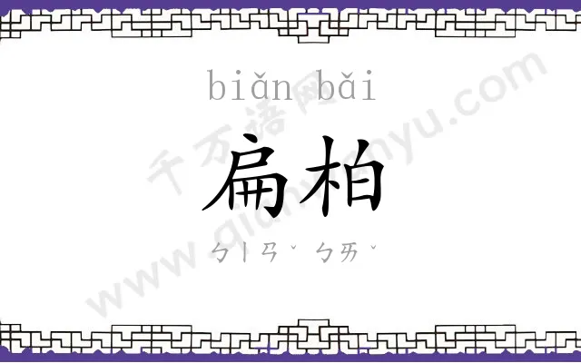 扁柏