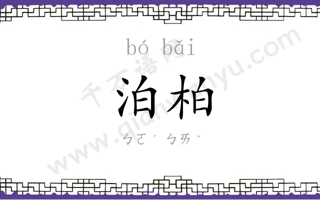 泊柏