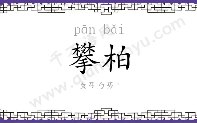 攀柏