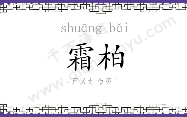 霜柏