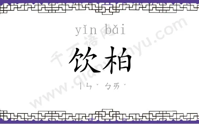 饮柏