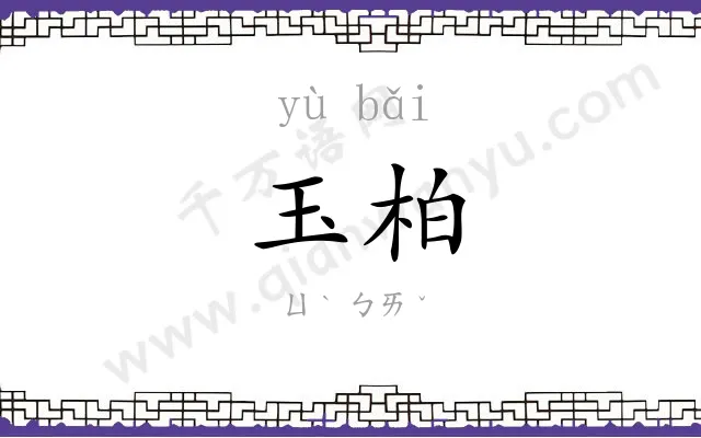 玉柏