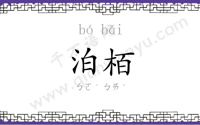 泊栢