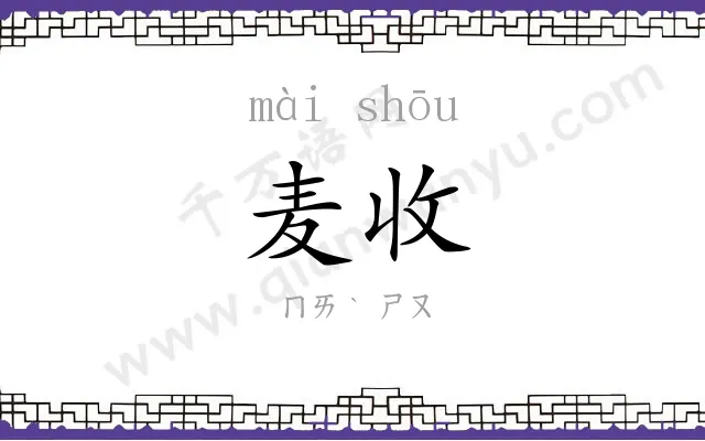 麦收