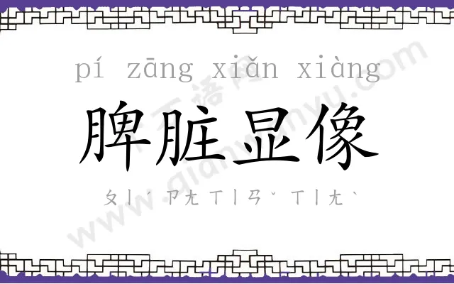 脾脏显像