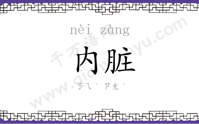 内脏