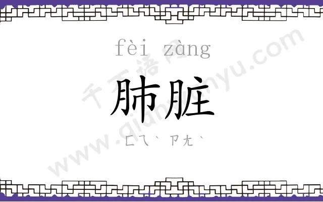 肺脏