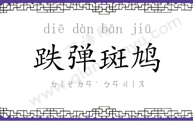 跌弹斑鸠