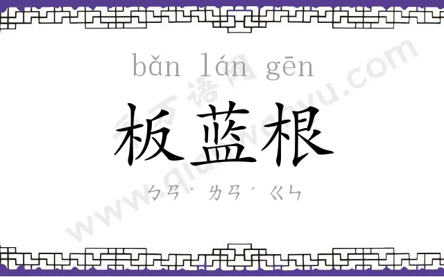 板蓝根