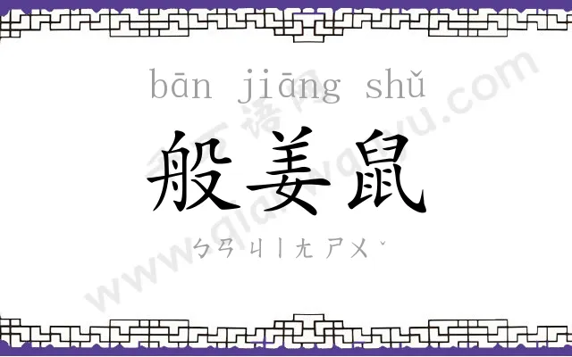 般姜鼠